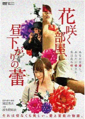 逆光飞行高清完整版下载